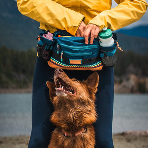 Wilderdog Mega Hip Pack