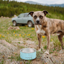 Load image into Gallery viewer, Wilderdog Stainless Steel Dog Bowls