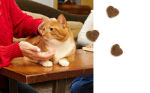 Load image into Gallery viewer, Bocce&#39;s Bakery One Fish Two Fish Crunchy Cat Treats