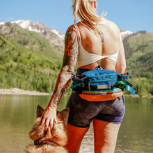 Load image into Gallery viewer, Wilderdog Mega Hip Pack