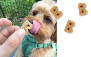 Bocce's Bakery Pizza Our Heart  Soft & Chewy Dog Treats