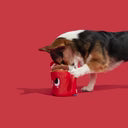 Load image into Gallery viewer, Bark Marshal &amp; Coco