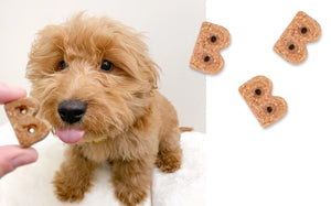 Bocce's Bakery Sauvignon Bark  Soft & Chewy Dog Treats
