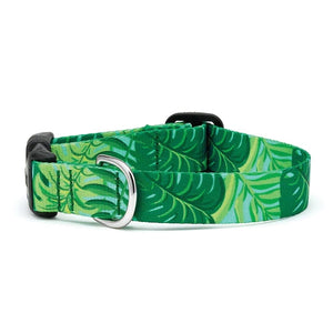 Up Country Sport Palms Dog Collar