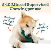 Load image into Gallery viewer, Dog chewing on a green toy with text about supervised chewing time.