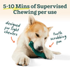 Dog chewing on a green toy with text about supervised chewing time.