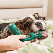 Load image into Gallery viewer, Woof Bite N' Brush Dental Refills Beef