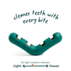 Logo of a blue caterpillar with a smile and text 'Bee & Bloom' on a transparent background