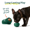 Dog with chew toys and a chain on a transparent background
