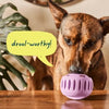Dog with a purple ball and text 'drool-worthy!' on a wooden surface