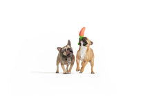 Load image into Gallery viewer, BARK Super Chewer Habanero Pupper Dog Chew Toy M/L