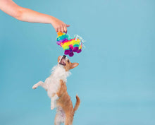 Load image into Gallery viewer, BARK Full O' Fluff Pinata Large