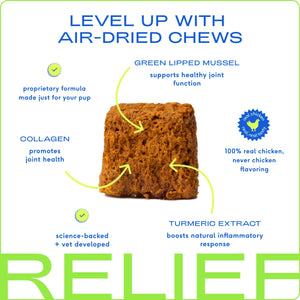 Native Pet Relief Chews, Hip & Joint Supplement For Dogs