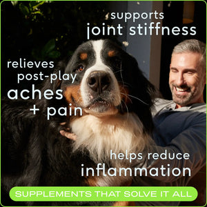 Native Pet Relief Chews, Hip & Joint Supplement For Dogs