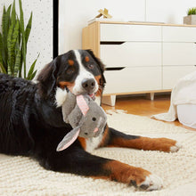 Load image into Gallery viewer, BARK Itty &amp; Bitty the Bunny Slippers