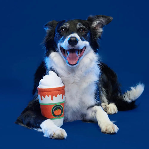 Bark Whipped Pupkin Latte Plush Dog Toy