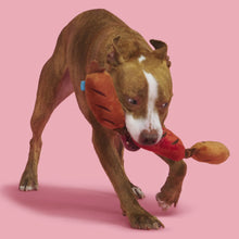 Load image into Gallery viewer, Bark Lickin&#39; Links Plush Dog Toy