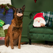 Load image into Gallery viewer, Bark Kris Krumble Plush Dog Toy