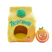Load image into Gallery viewer, BARK Fresh Squeaked OJ Plush Dog Toy M