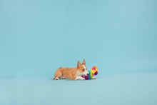 Load image into Gallery viewer, BARK Full O' Fluff Pinata Large