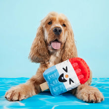 Load image into Gallery viewer, Bark Rocket Droolsicle Plush Dog Toy