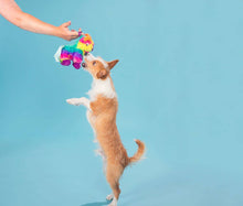 Load image into Gallery viewer, BARK Full O' Fluff Pinata Large