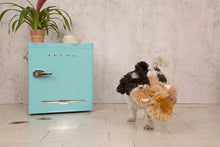 Load image into Gallery viewer, Bark Gordon the Giant Sloth