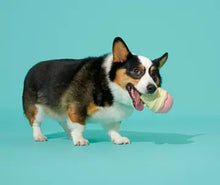Load image into Gallery viewer, Bark Super Chewer I-Squeak Cone Dog Toy Medium-Large