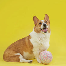 Load image into Gallery viewer, JollyPets Jolly Bean Soccer Ball