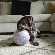 Load image into Gallery viewer, JollyPets Jolly Bean Soccer Ball