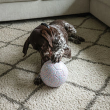Load image into Gallery viewer, JollyPets Jolly Bean Soccer Ball