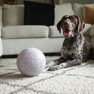 JollyPets Jolly Bean Soccer Ball