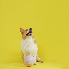 Load image into Gallery viewer, JollyPets Jolly Bean Soccer Ball