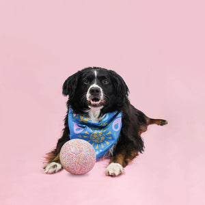 JollyPets Jolly Bean Soccer Ball