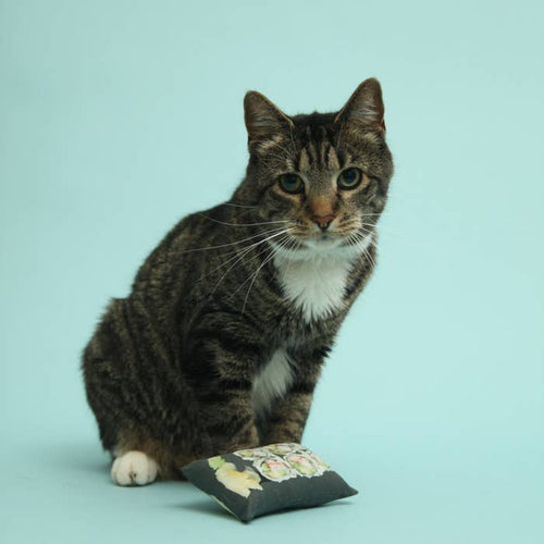 California Roll Sushi Cat Toy