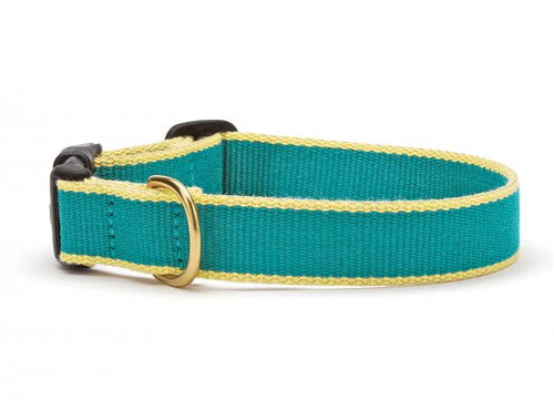 Green Market Teal with Yellow Dog Collar