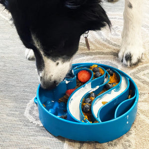 SodaPup Wave Design Ebowl Enrichment Slow Feeder Bowl for Dogs