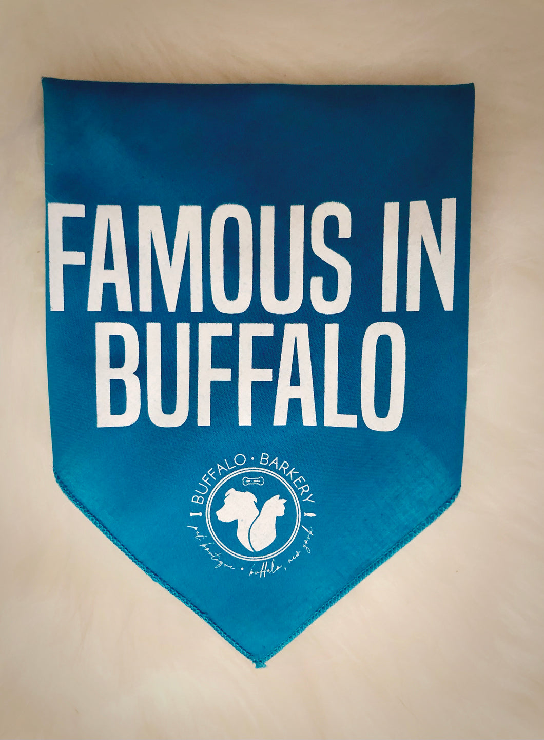 Famous in Buffalo Turquoise Bandana
