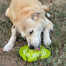 Load image into Gallery viewer, SodaPup Water Frog Design Etray Enrichment Tray for Dogs