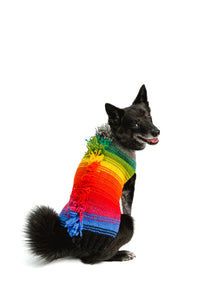 Chilly Dog Rainbow Mohawk Sweater