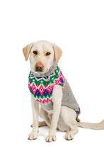 Load image into Gallery viewer, Chilly Dog Light Gray Fairisle Sweater