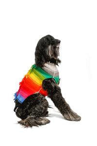 Chilly Dog Rainbow Mohawk Sweater