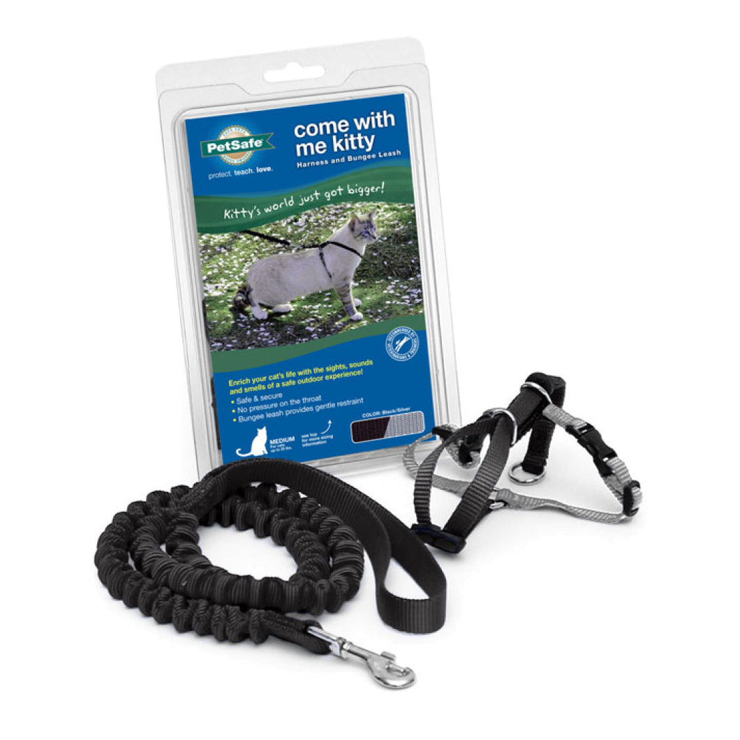 Come with Me Kitty™ Harness & Bungee Leash