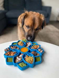 SodaPup Mandala Design Etray Enrichment Tray for Dogs