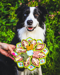 SodaPup Mandala Design Etray Enrichment Tray for Dogs